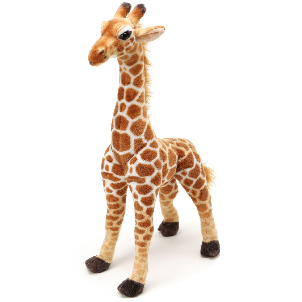Jocelyn the Giraffe