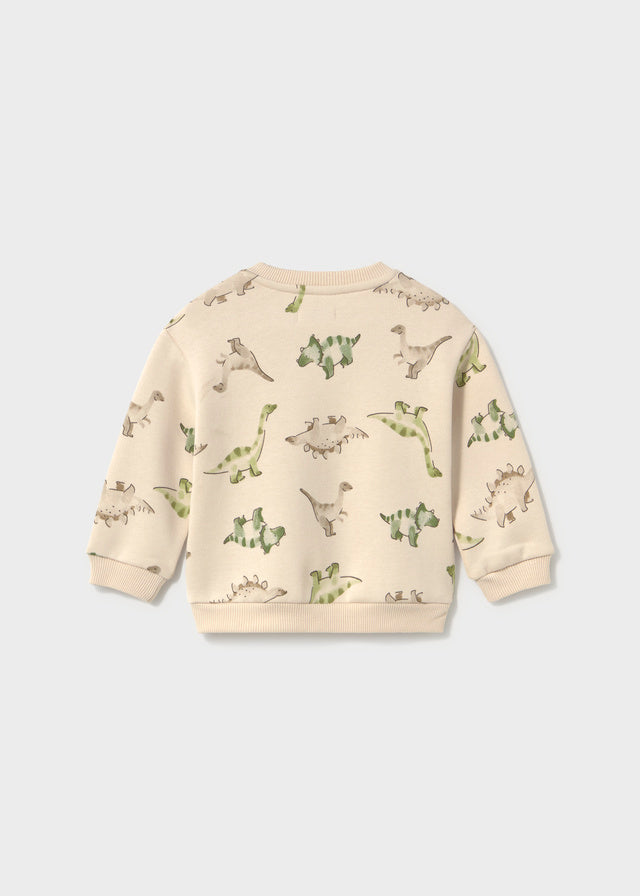 Dinosaur Printed Crewneck Sweatshirt, 2416