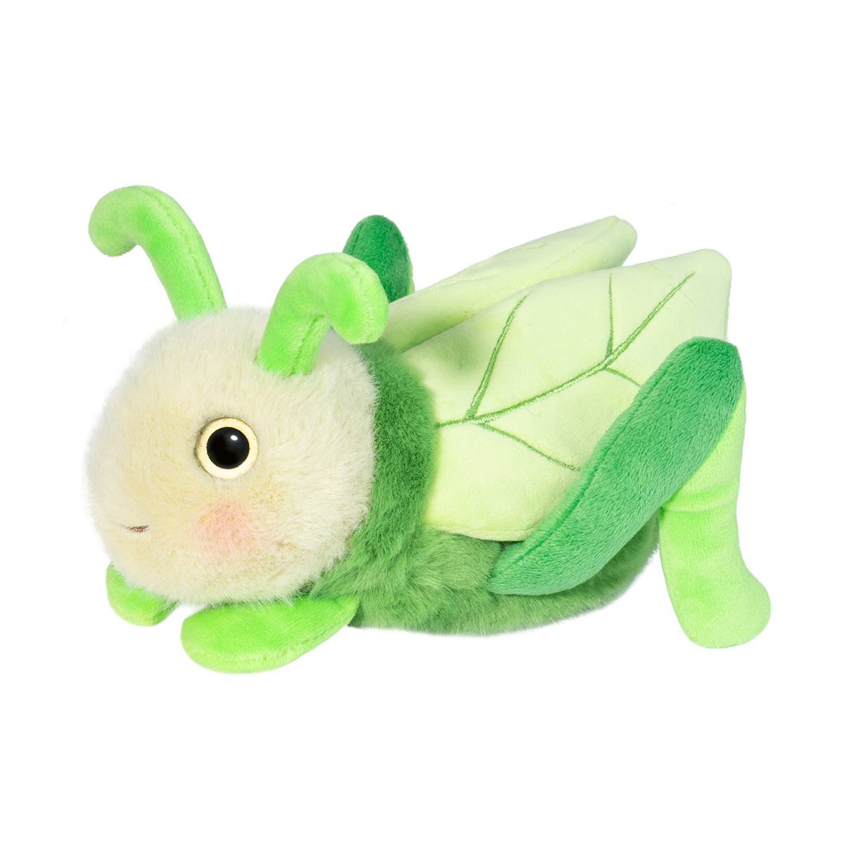 Grasshopper - Kady