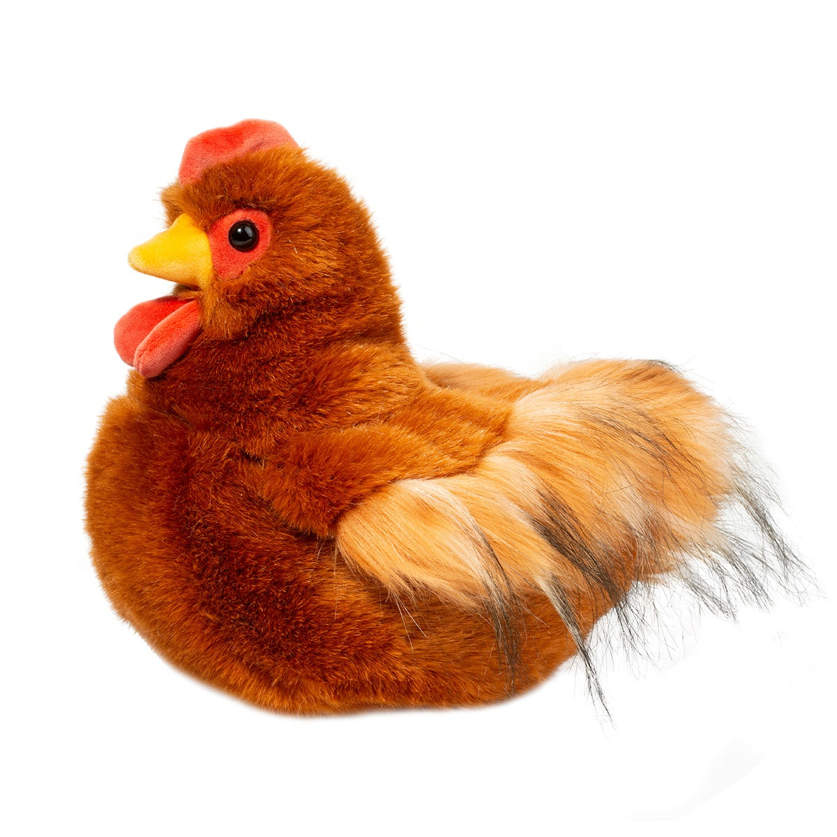 Brown Hen - Hector
