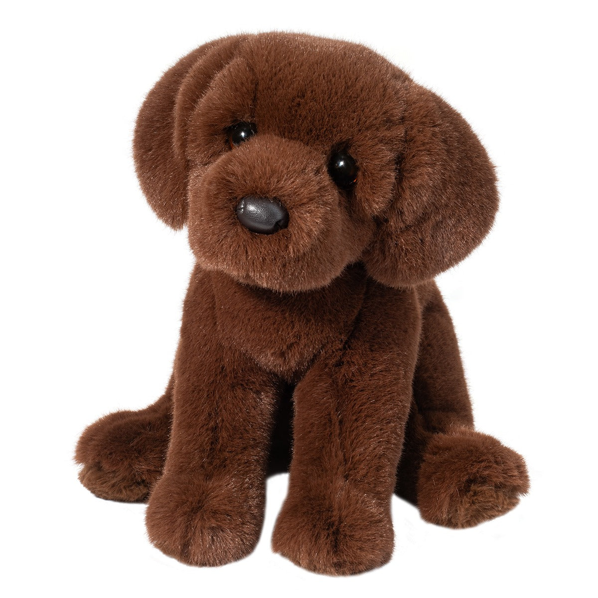 Chocolate Lab - Zoom