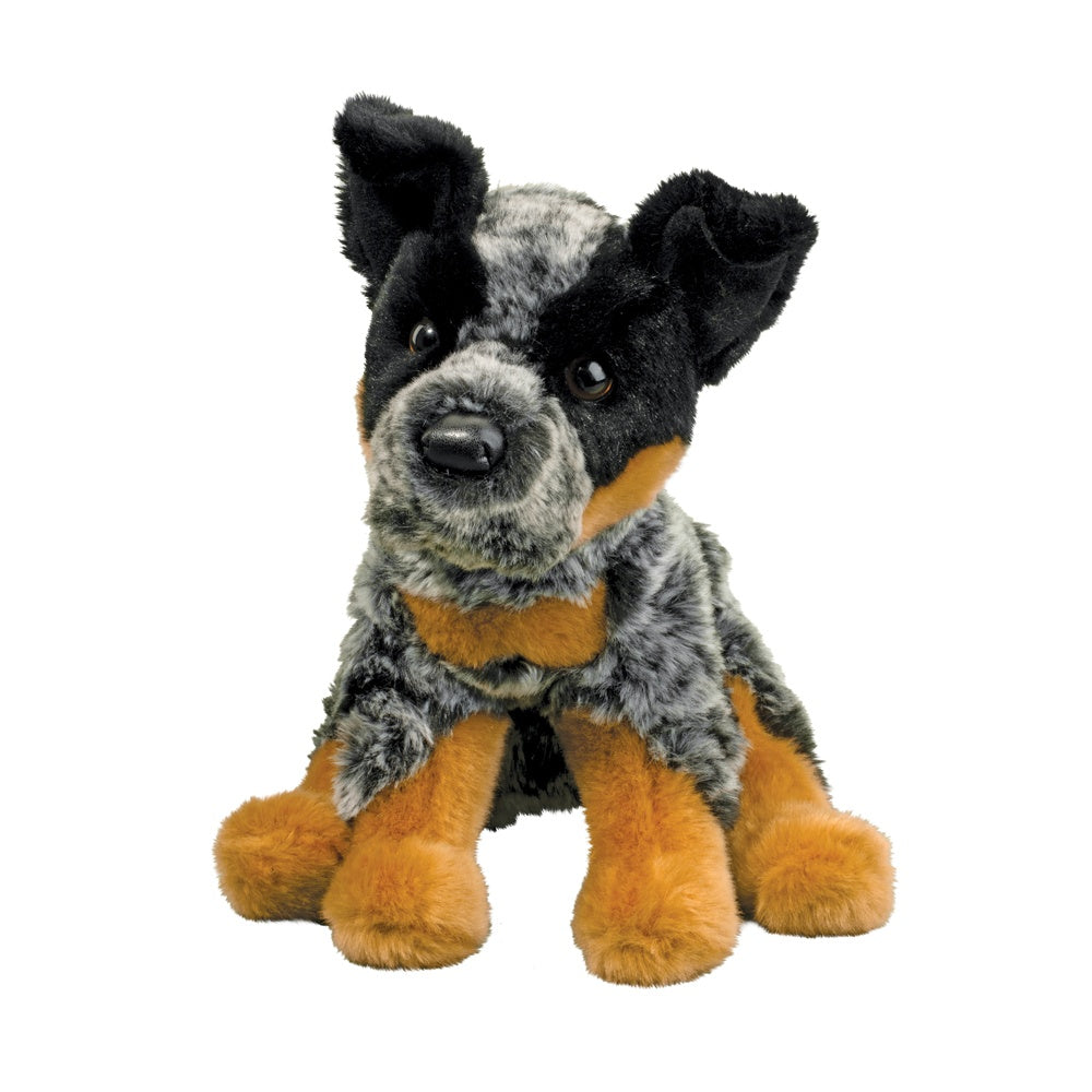 Australian Cattle Dog - Dexter
