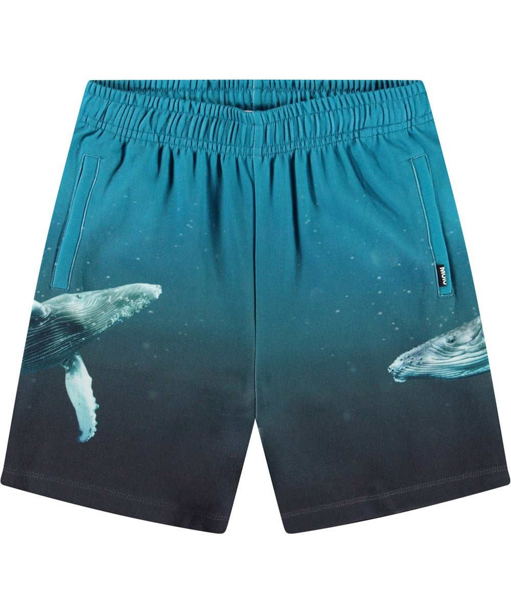Amil Shorts, Whale Dive