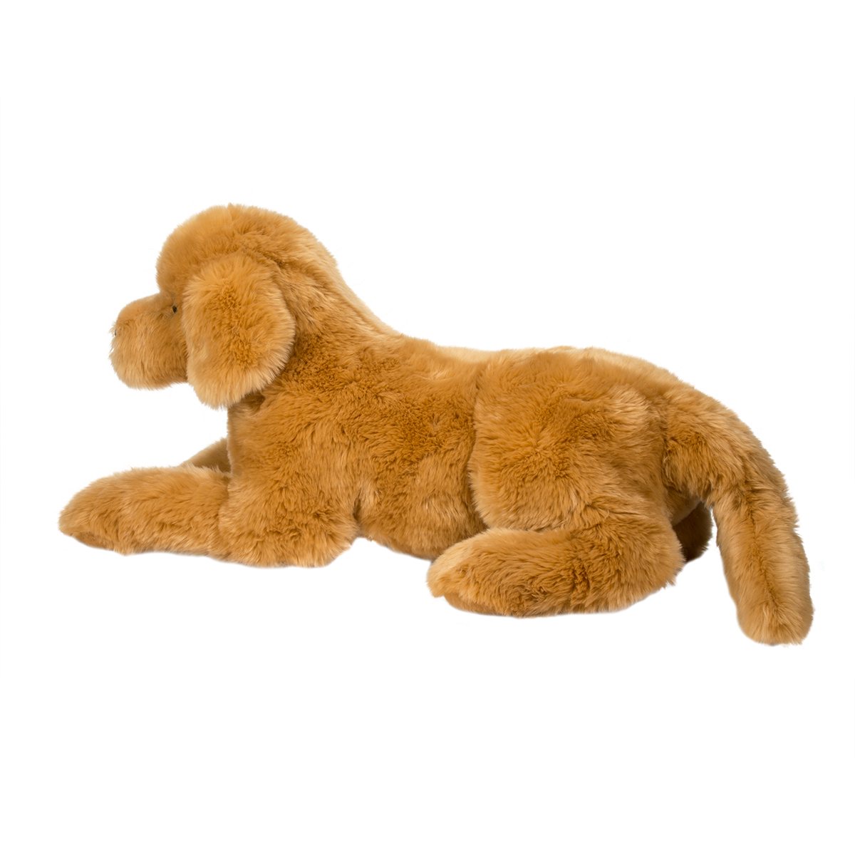 Golden Retriever - Sherman Medium