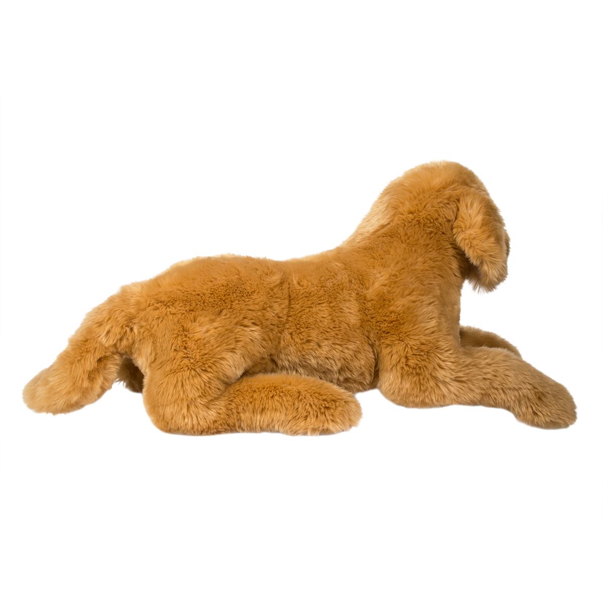 Golden Retriever - Sherman Medium