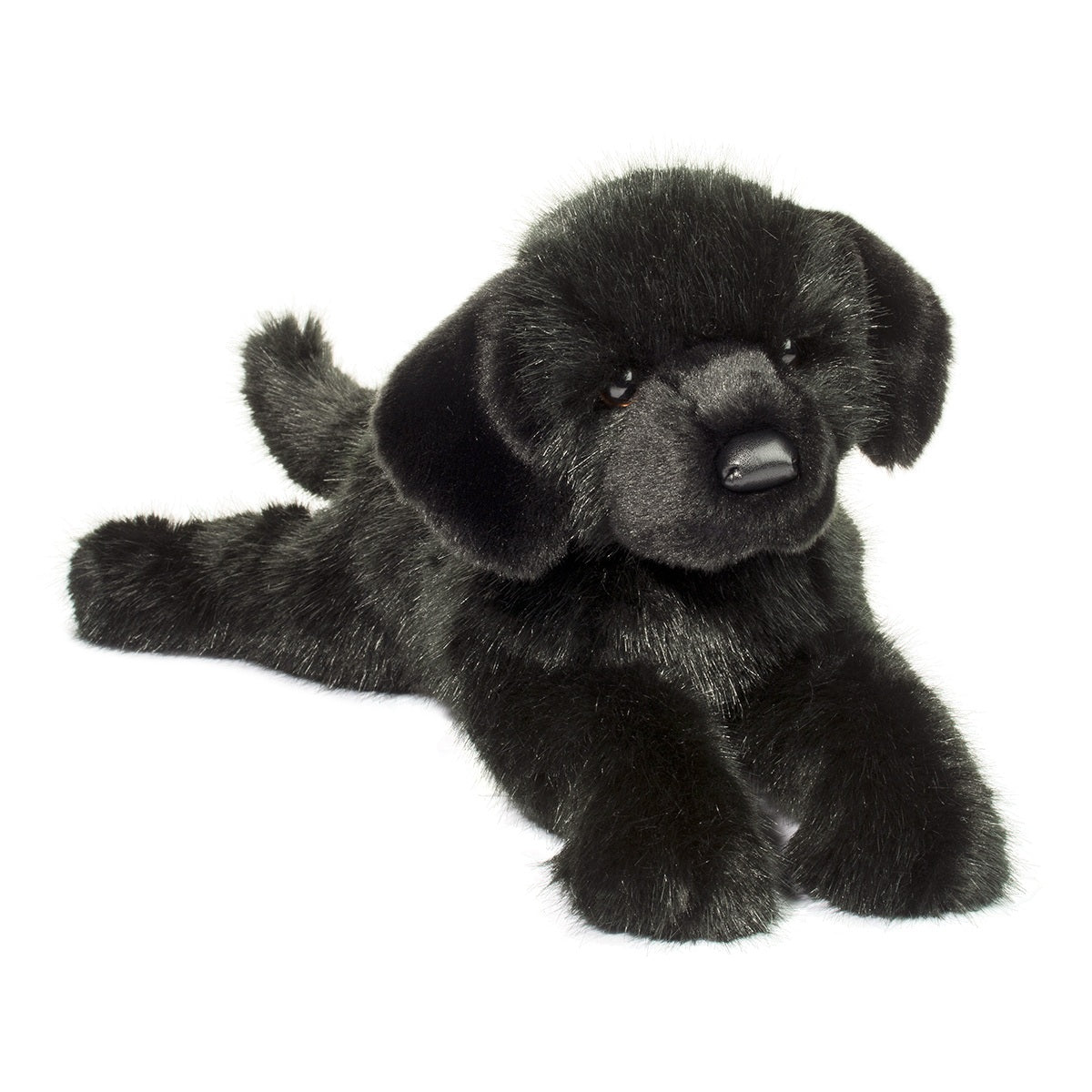 Black Lab, DLux - Jake