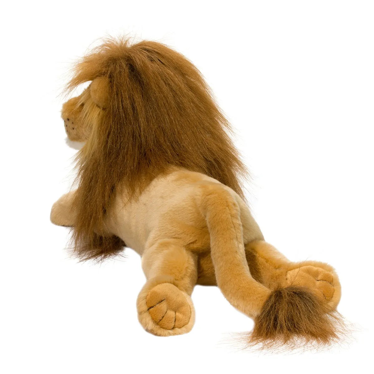 Lion - Zeus