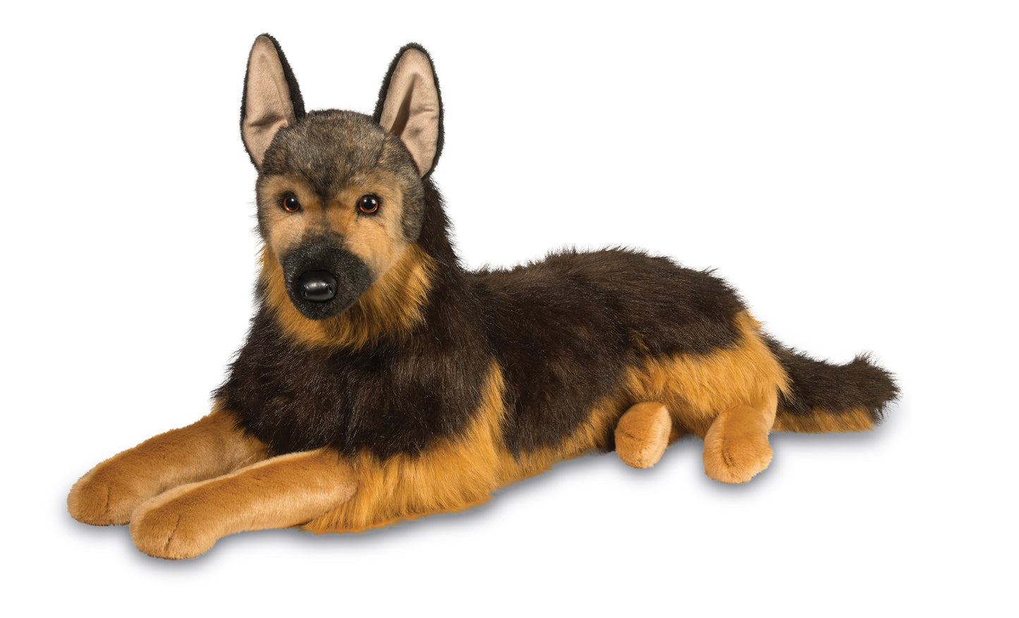 German Shepard - Major