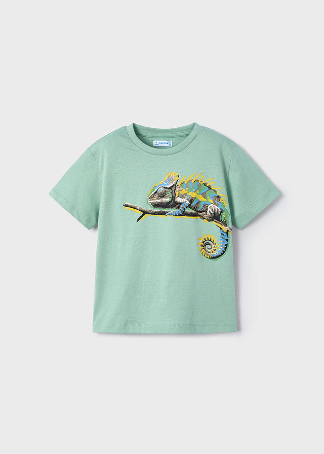 S/S Graphic Tee, Iguana, 3045