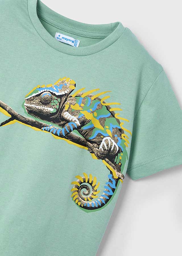 S/S Graphic Tee, Iguana, 3045