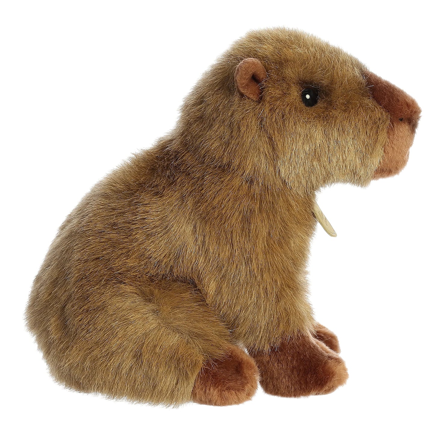 9" Capybara