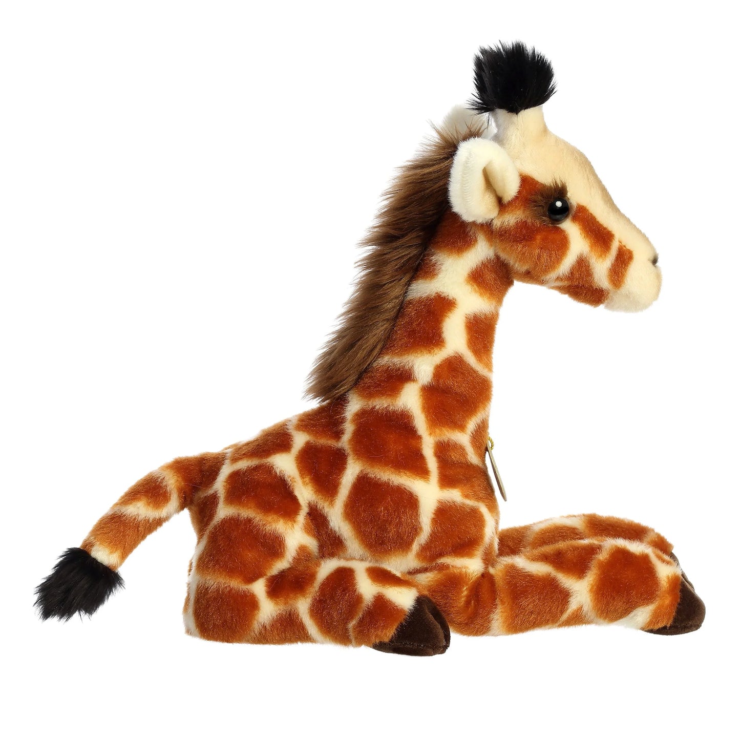 Giraffe Calf