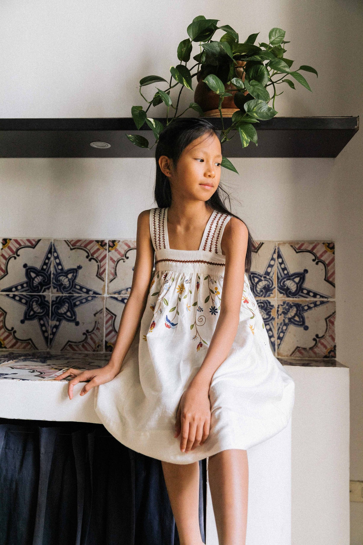 Siena Dress in Opaline Silk