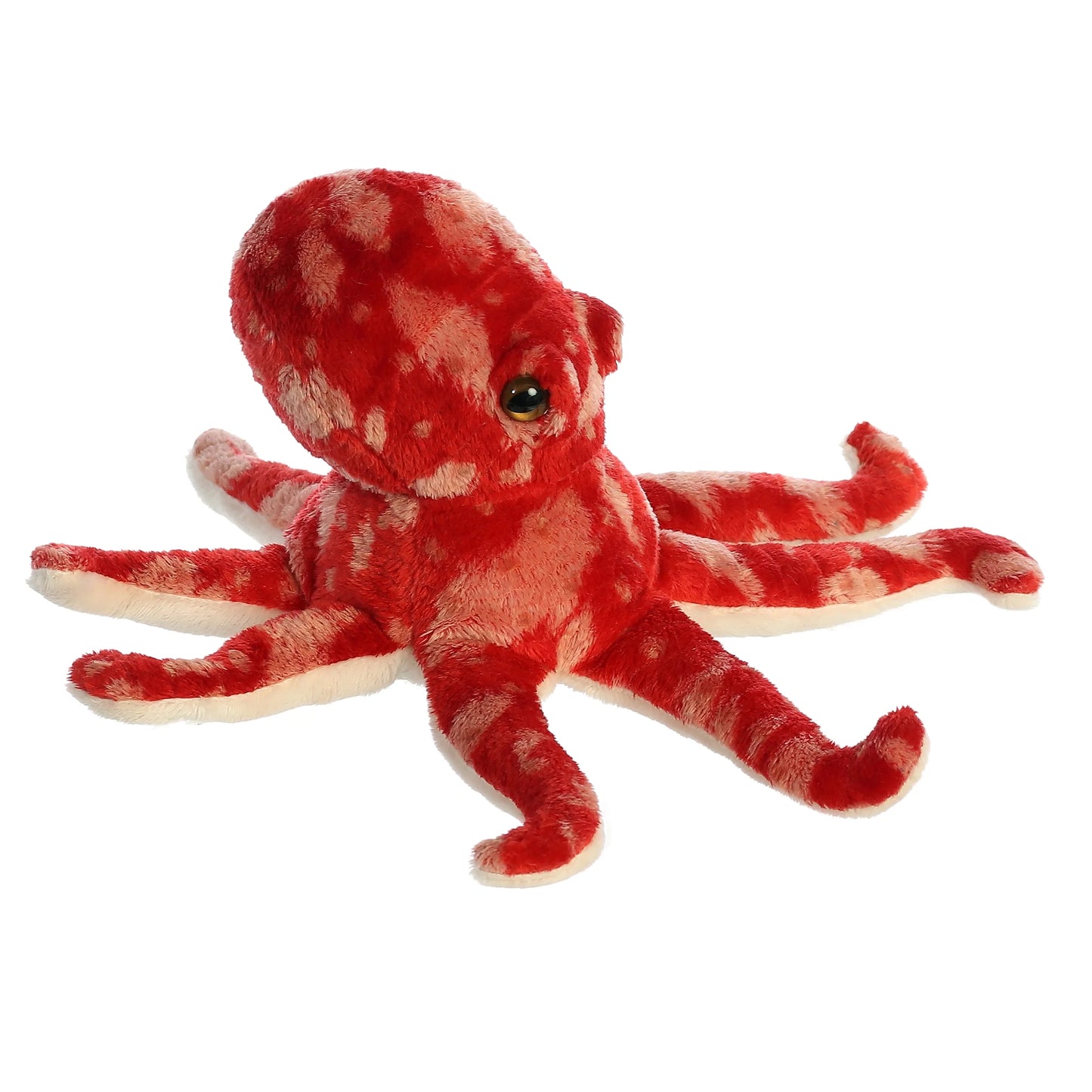Pacy Octopus