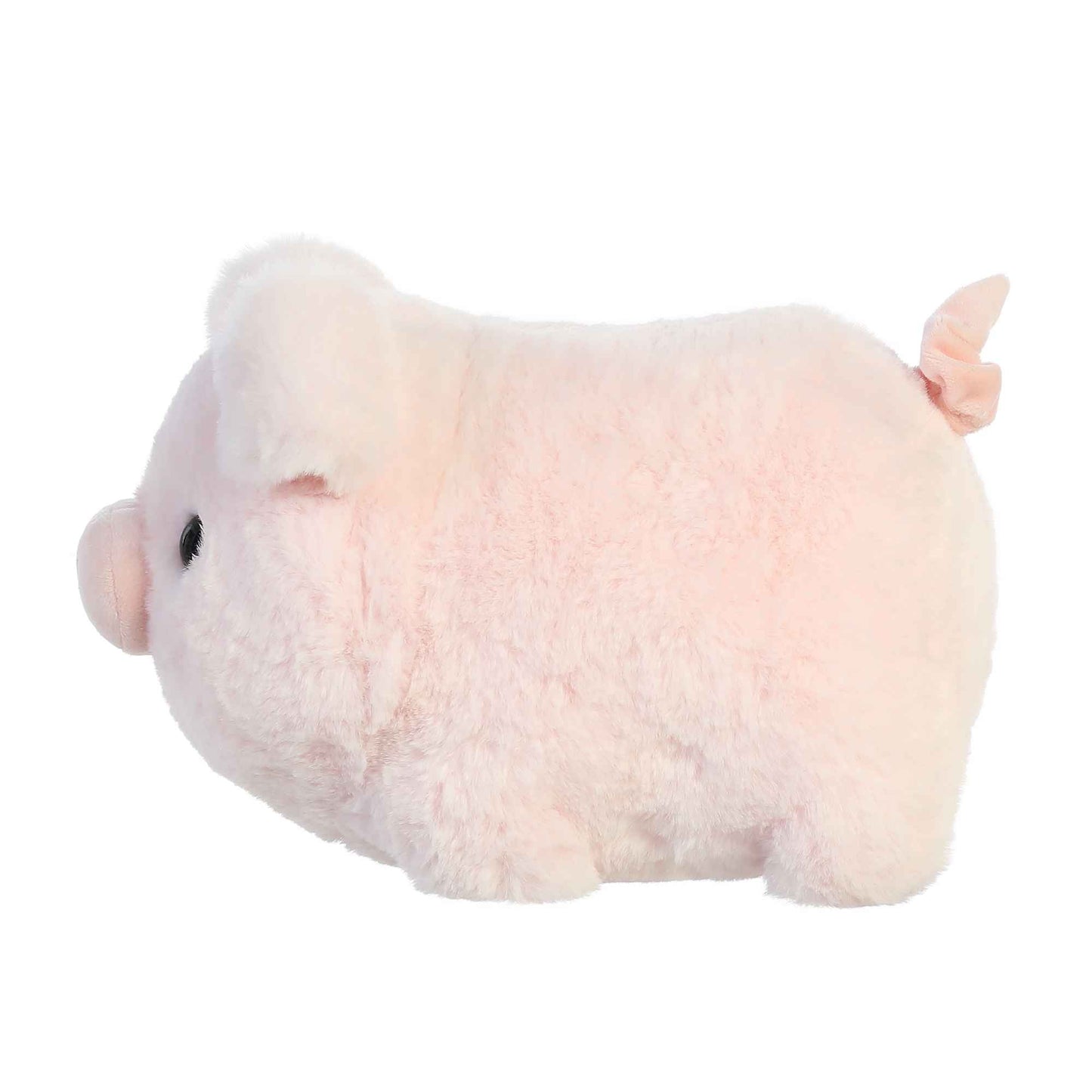 Spudster - Cutie Pig