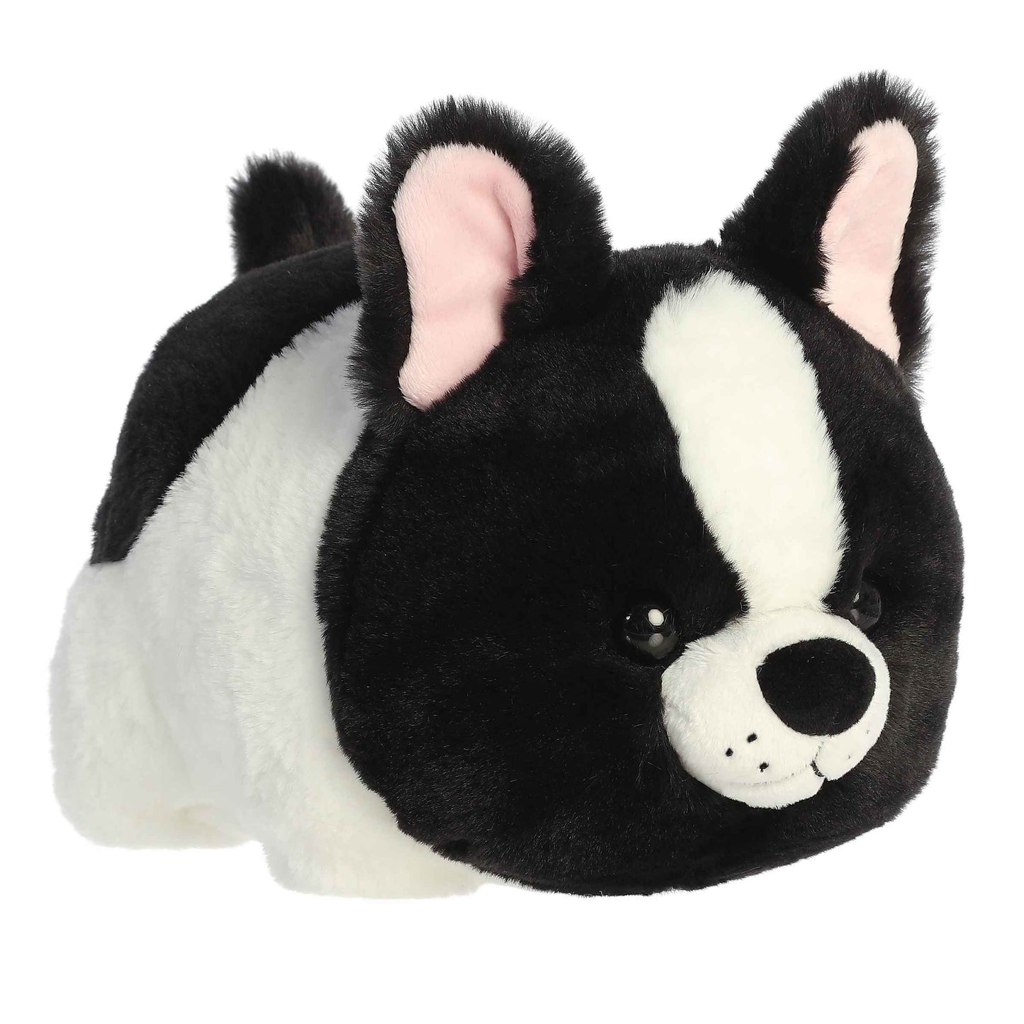 Spudster - Fern French Bulldog