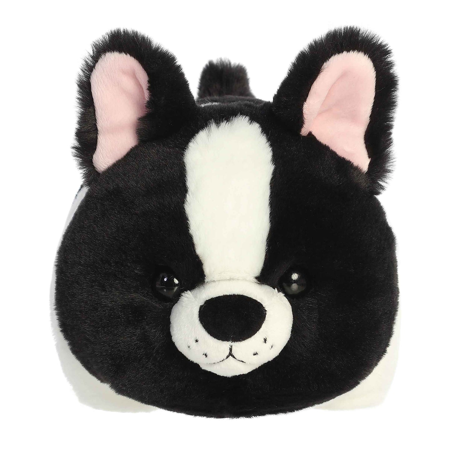 Spudster - Fern French Bulldog