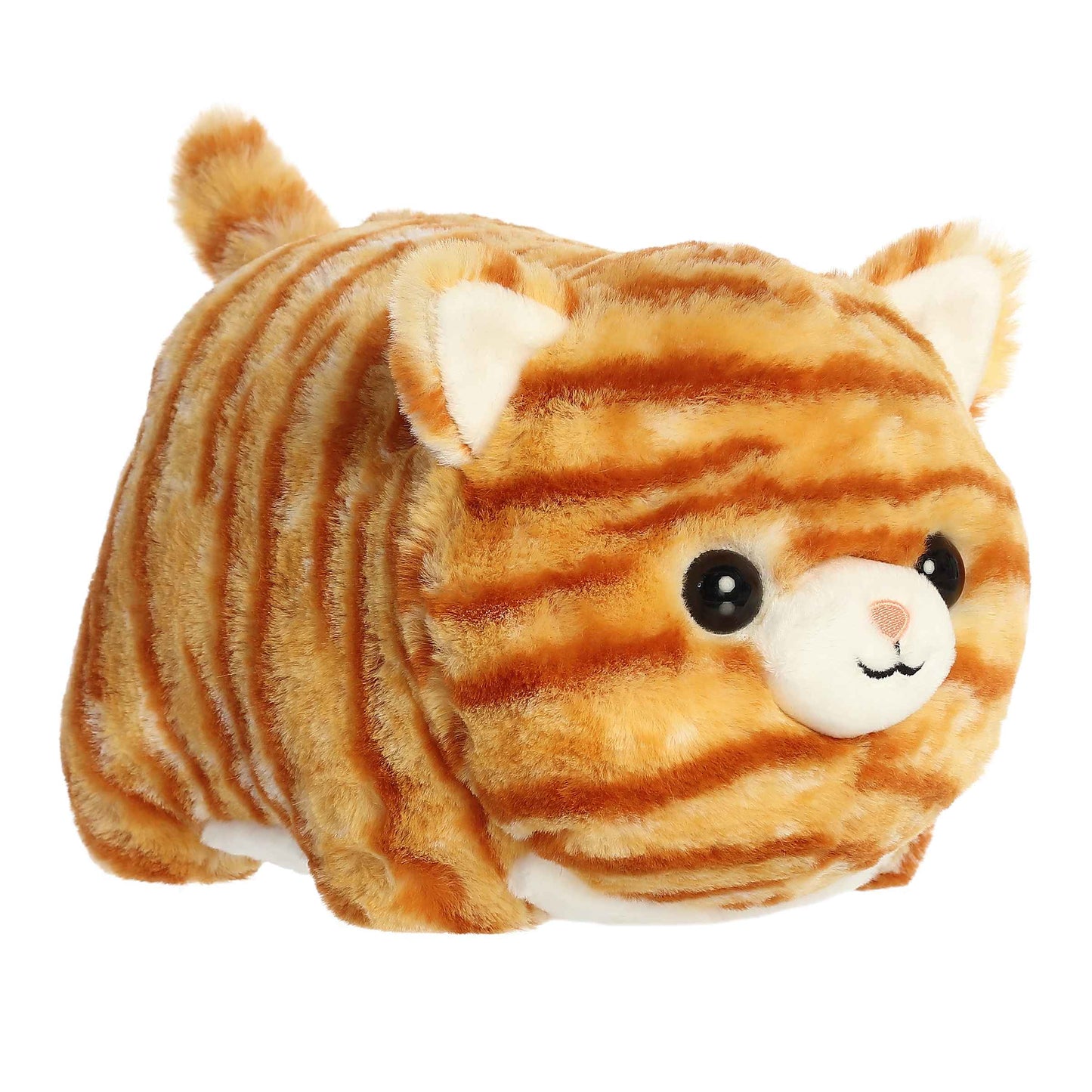 Spudster - Taco Orange Tabby