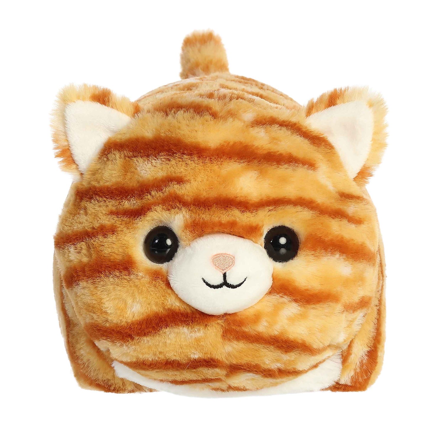 Spudster - Taco Orange Tabby