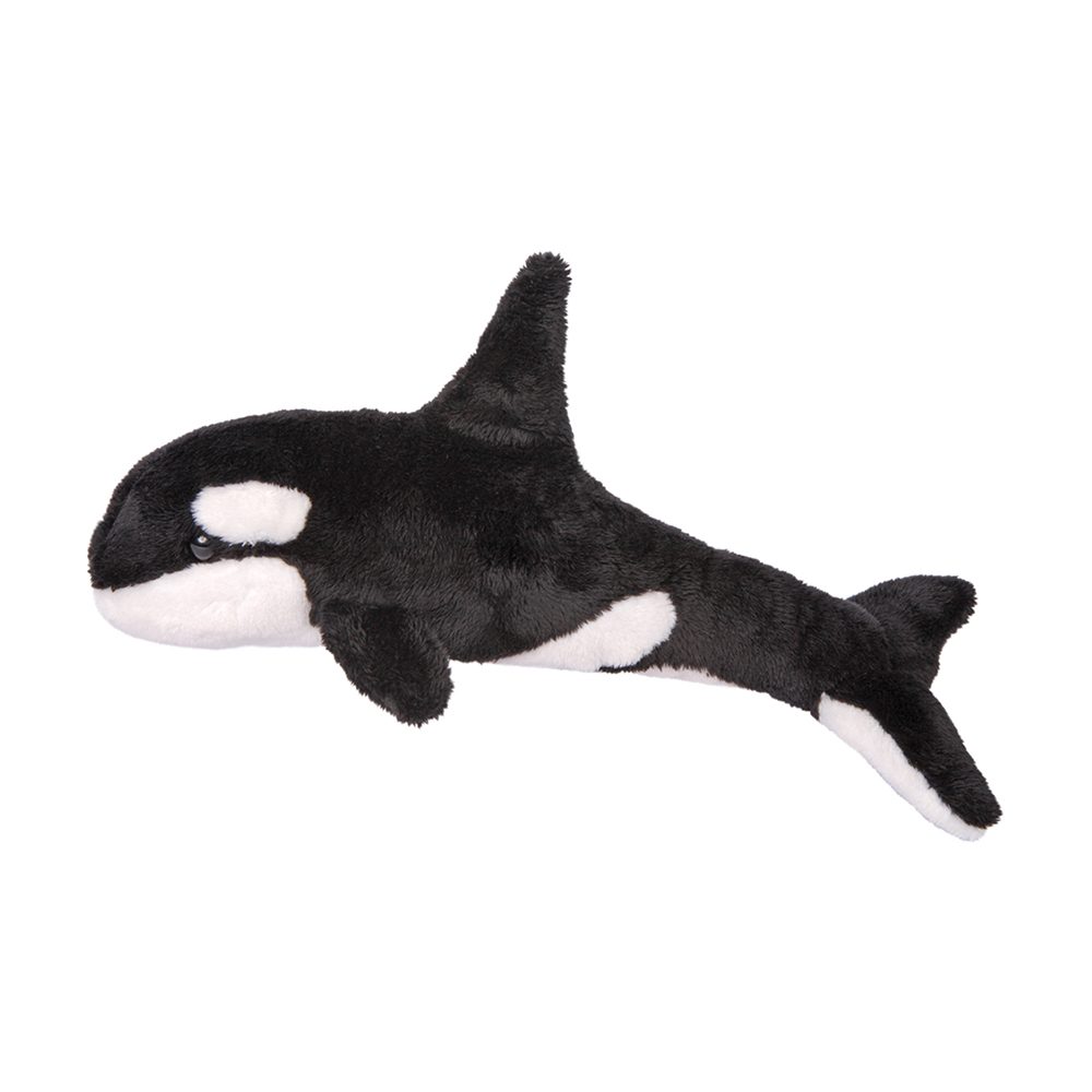 Orca Whale, Spout