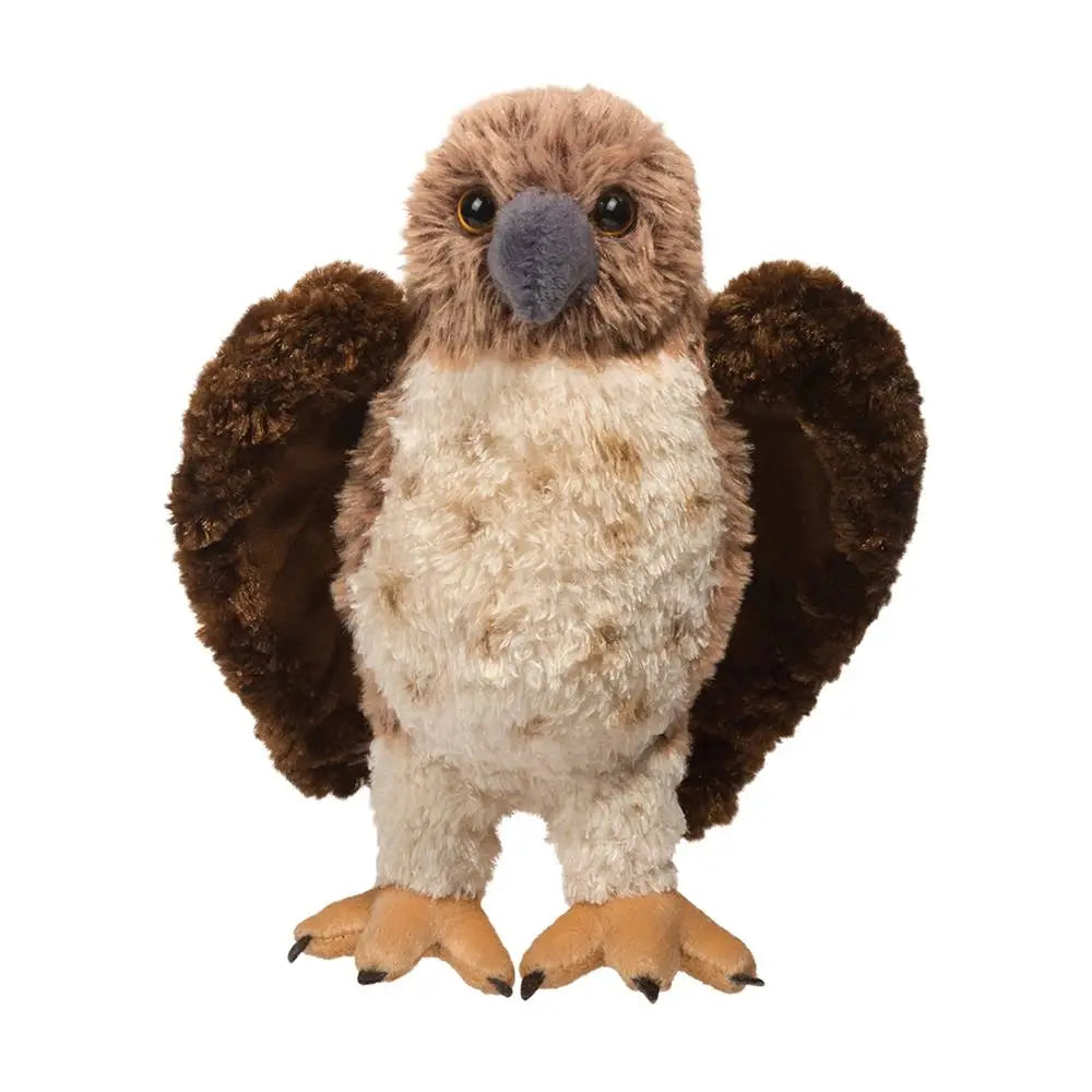 Red Tail Hawk, Orion