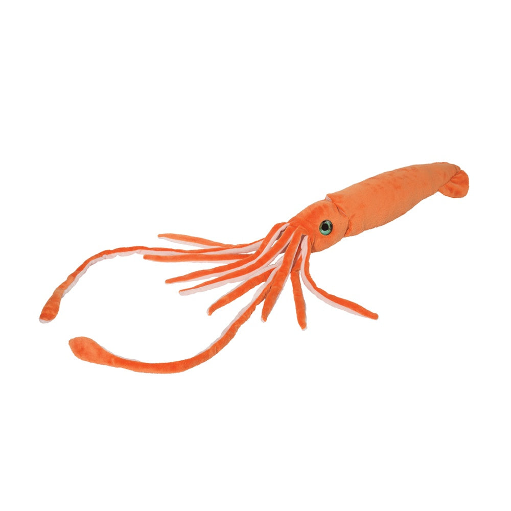 Squid - Stretch