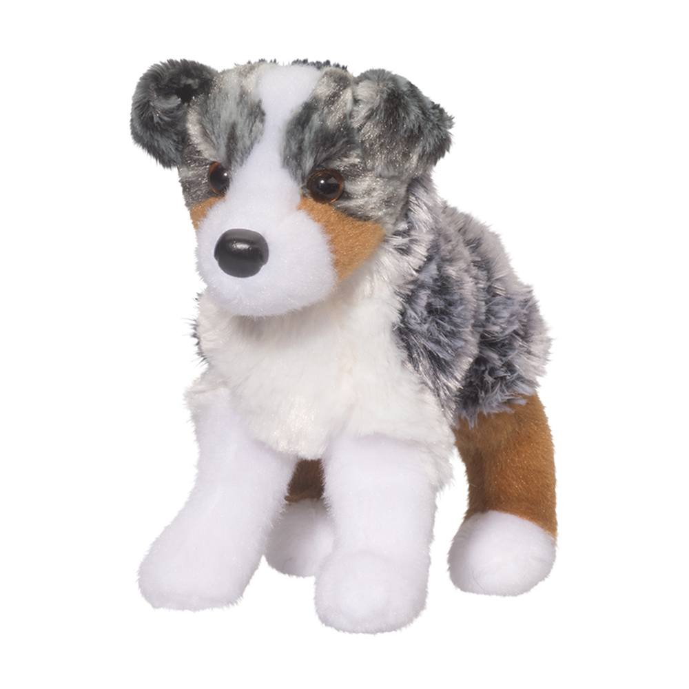 Australian Shepherd - Steward