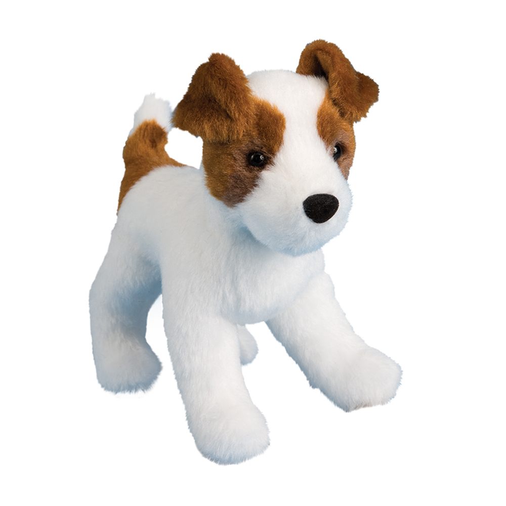 Jack Russell - Feisty