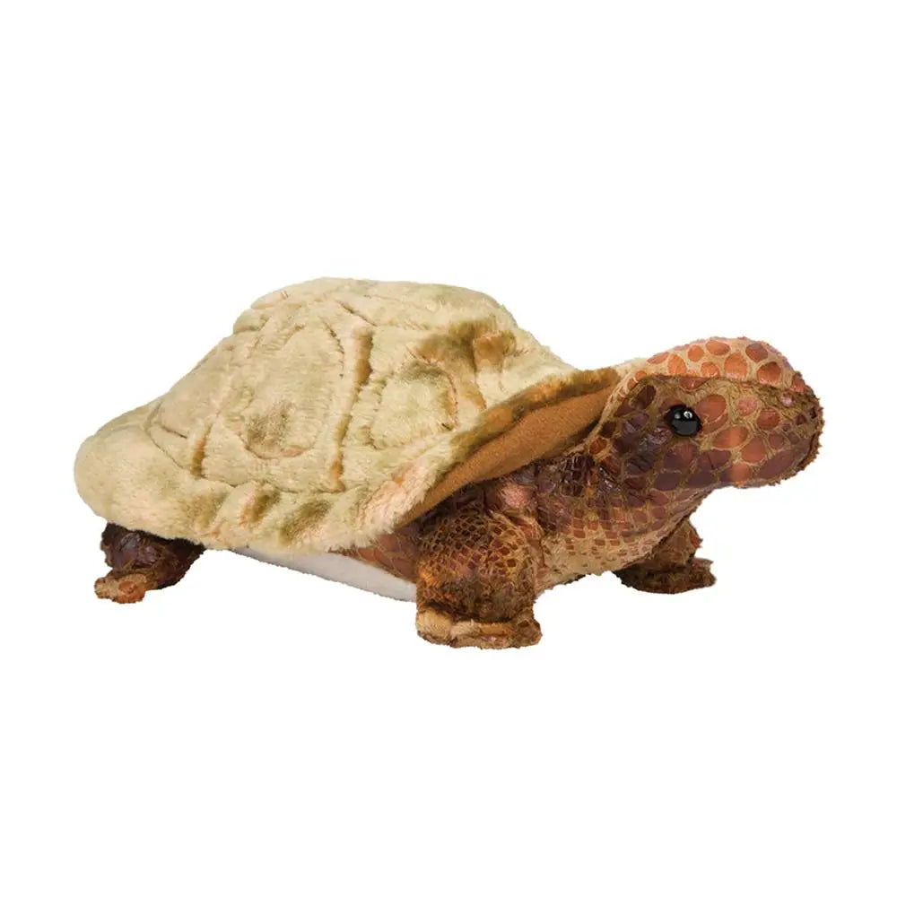 Tortoise - Speedy