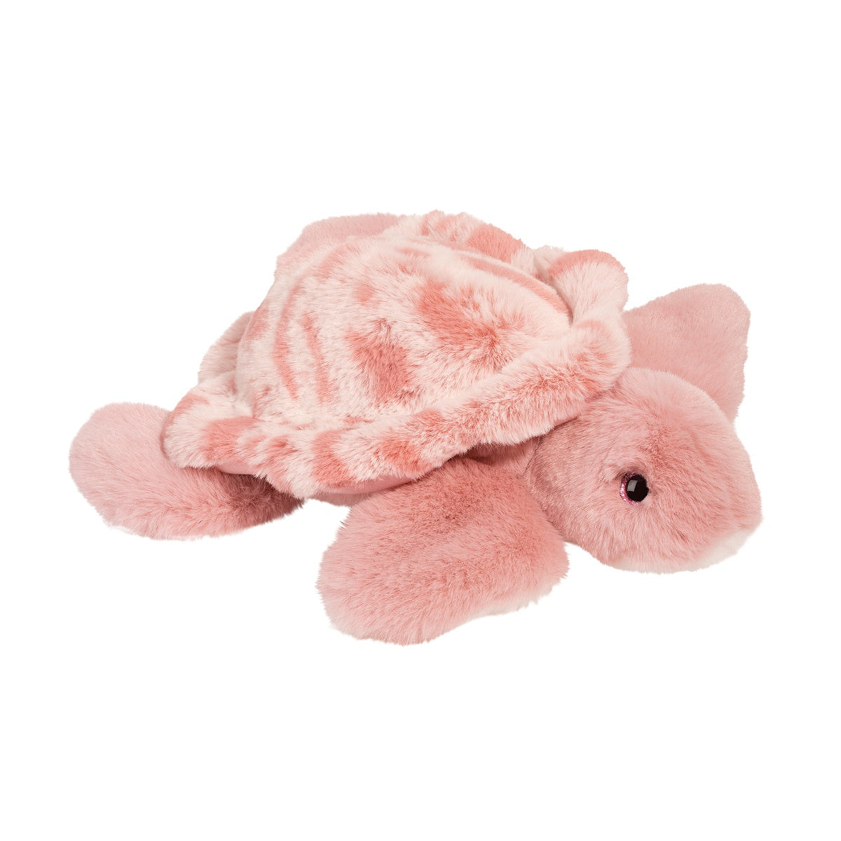 Turtle, Cordelia