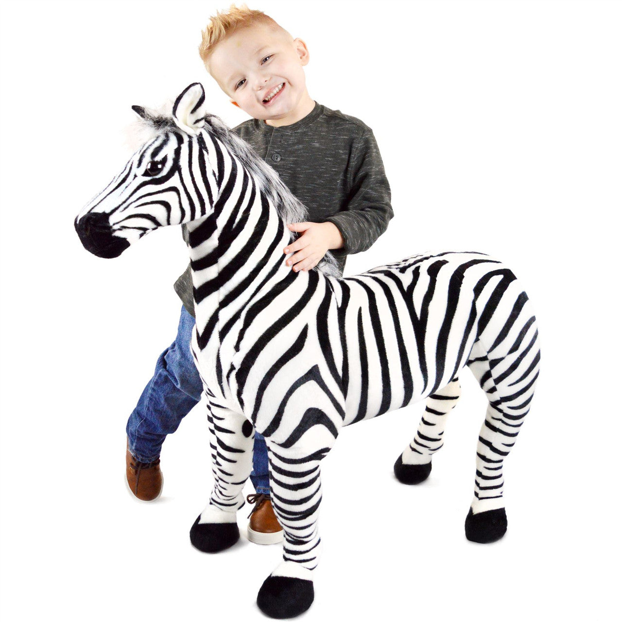 Zelassie the Zebra