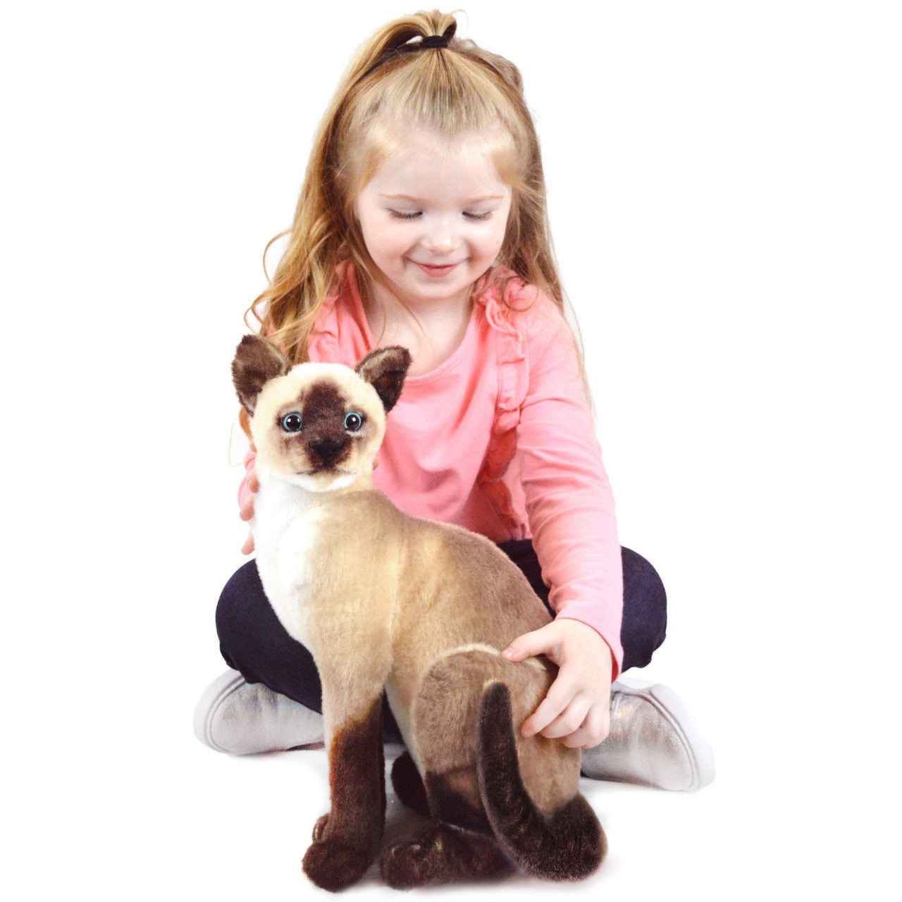 Stefan the Siamese Cat