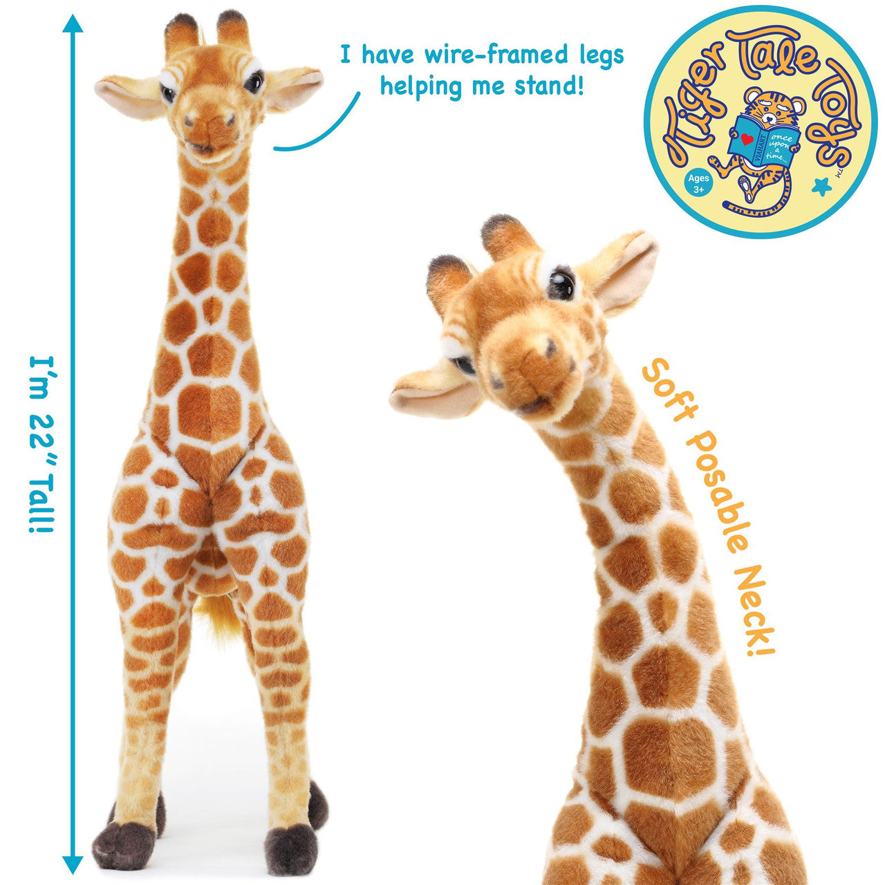 Jocelyn the Giraffe