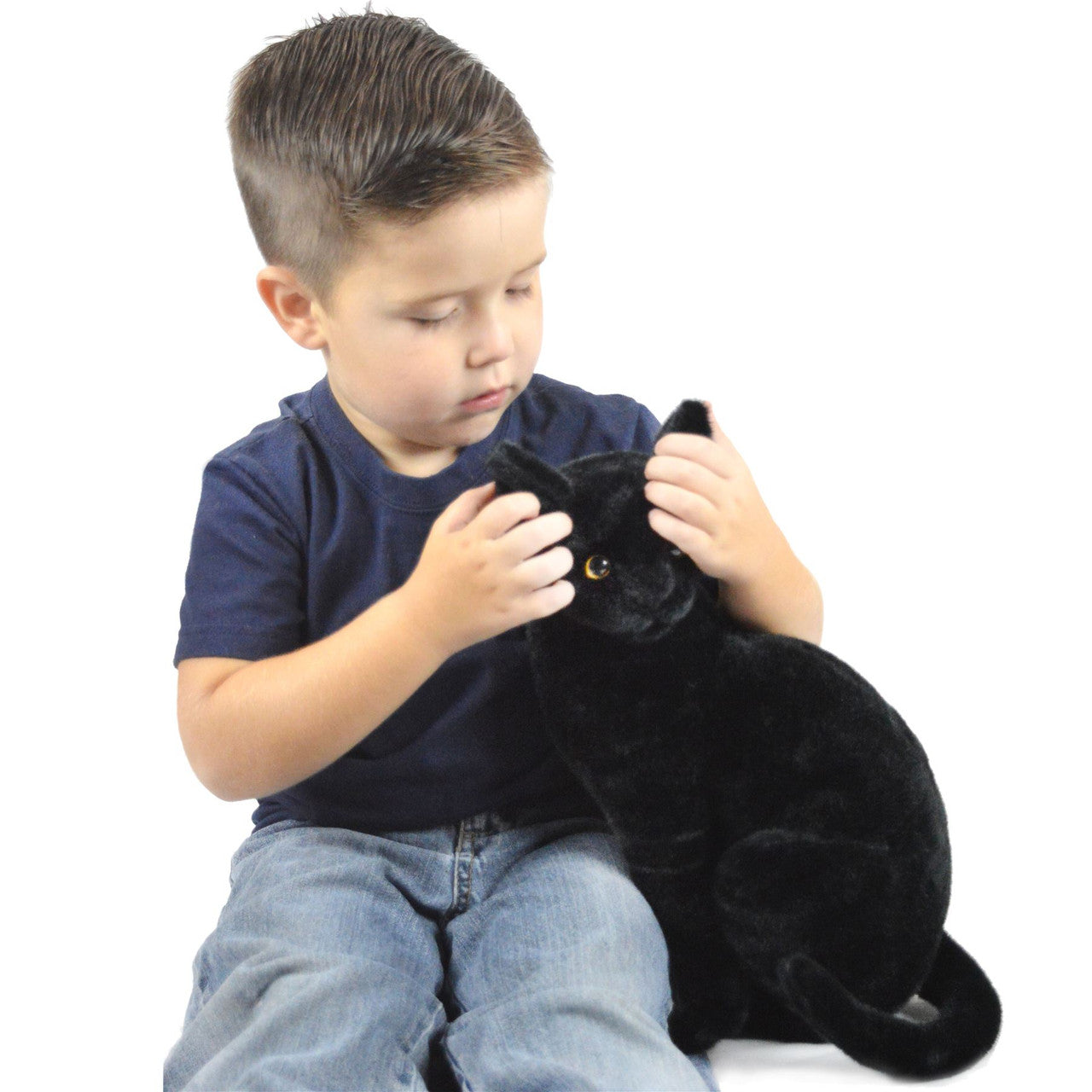 Boone the Black Cat
