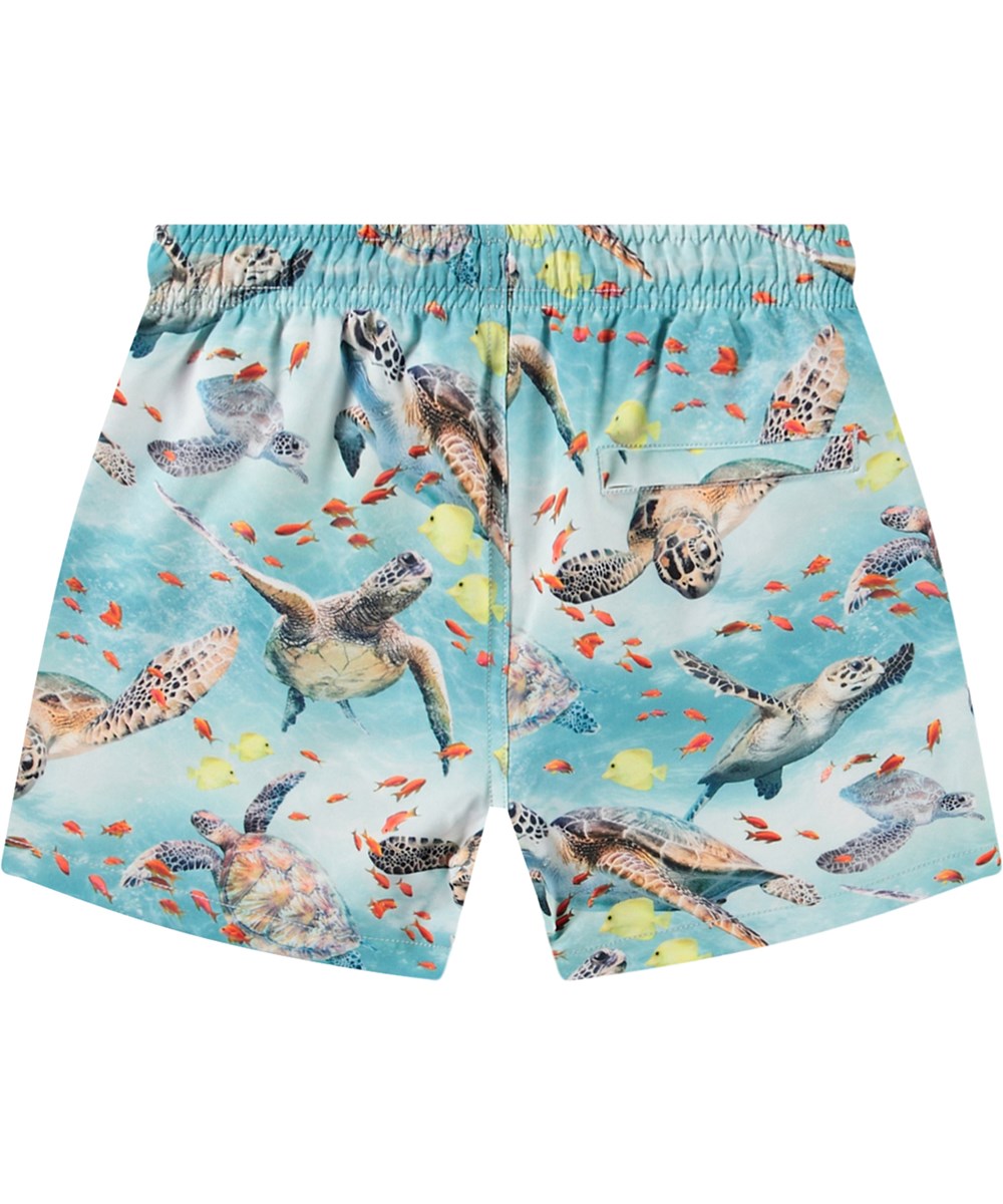 Niko Swim Shorts