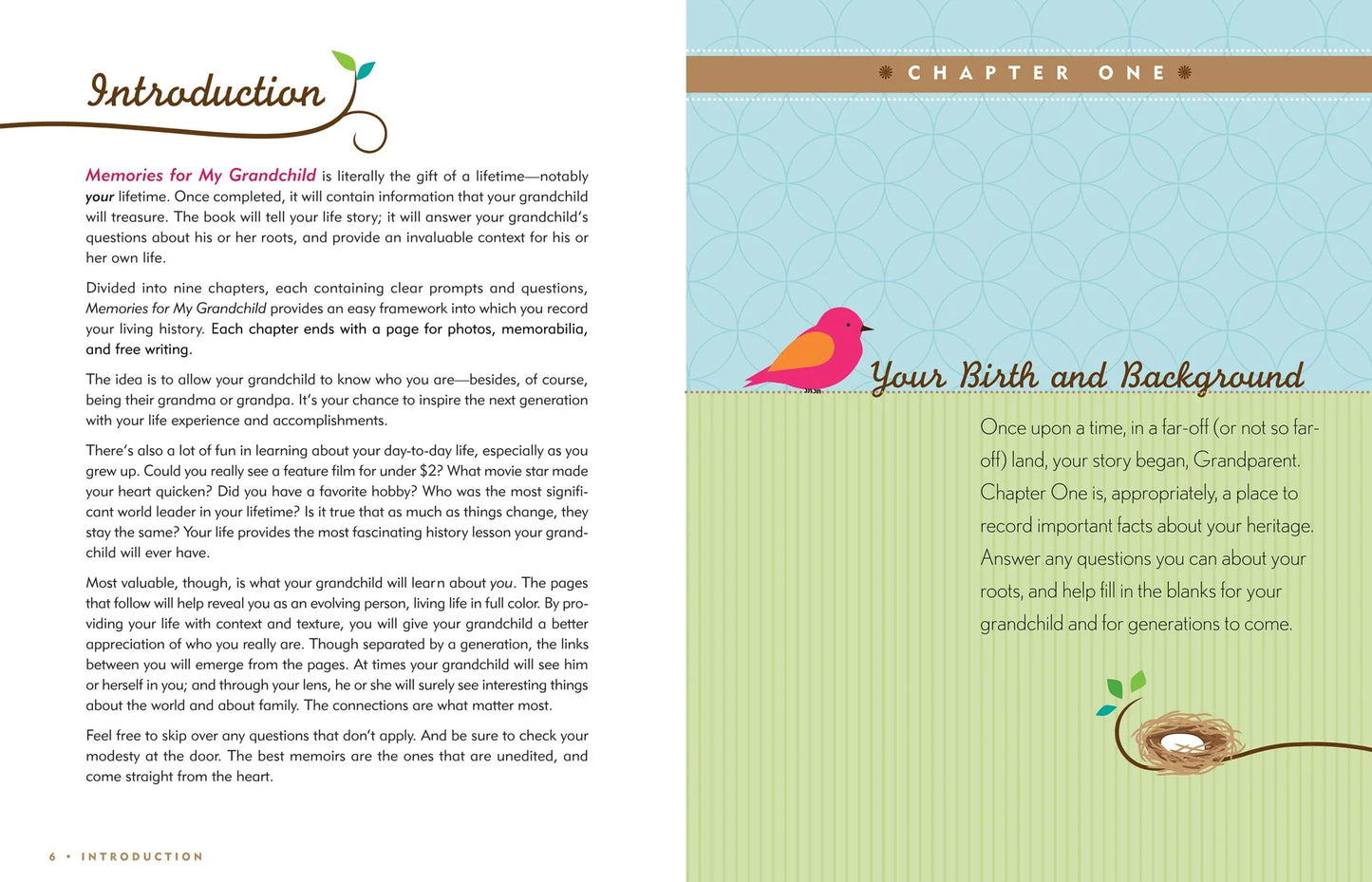 Memories Grandchild Organizer