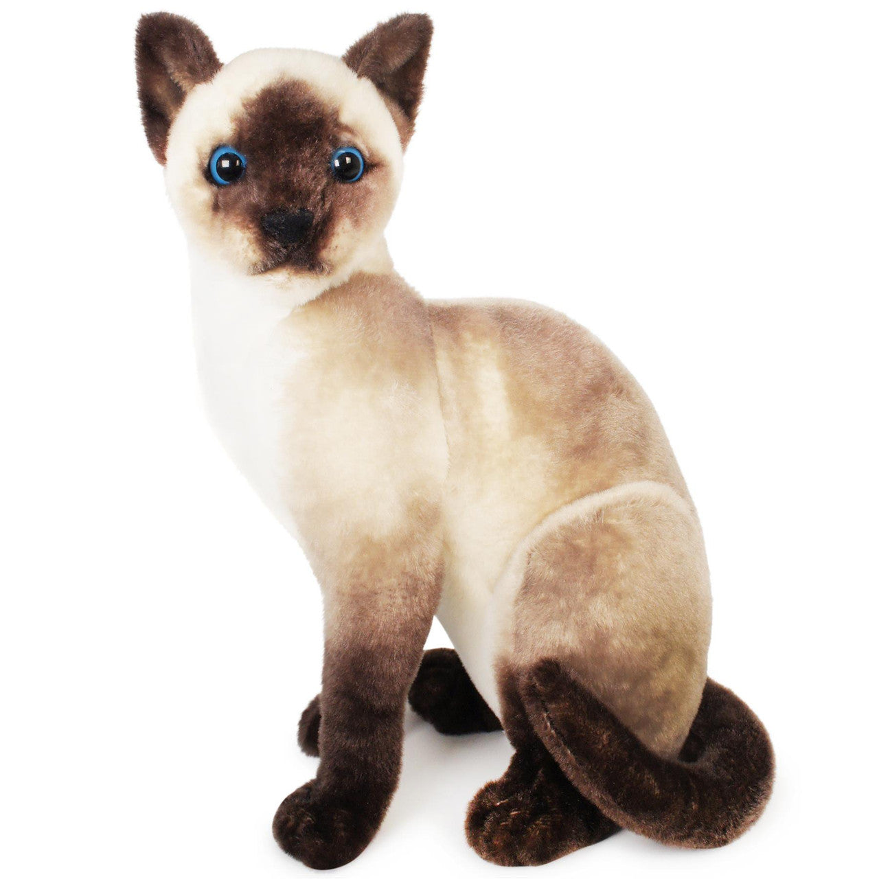 Stefan the Siamese Cat
