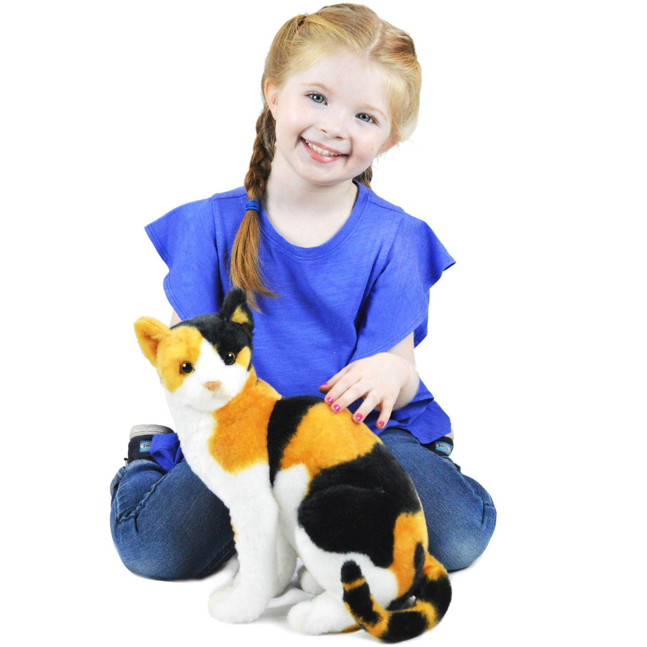 Catalina the Calico Cat