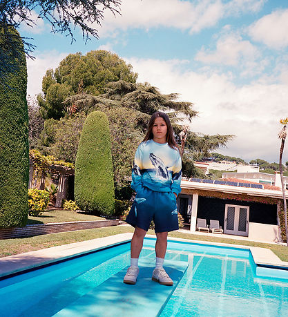 Amil Shorts, Whale Dive