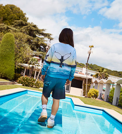 Amil Shorts, Whale Dive