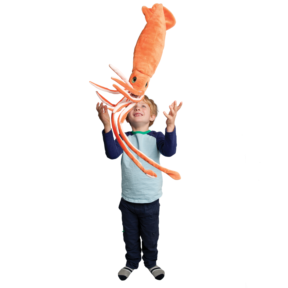 Squid - Stretch