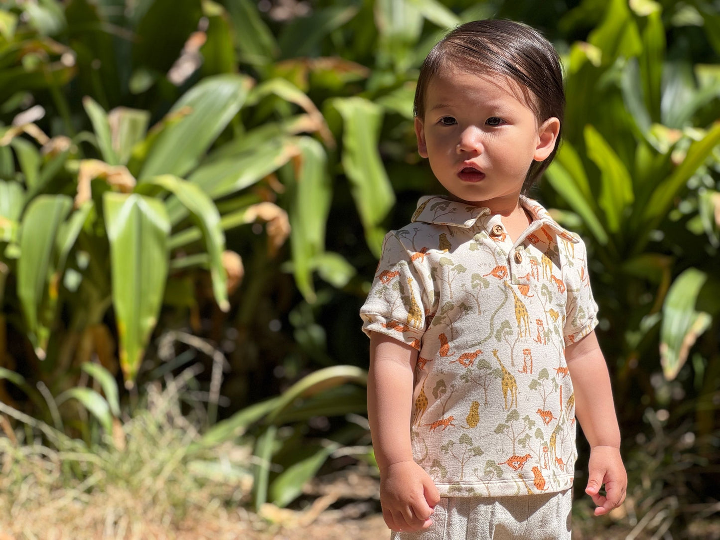 Jacob 2-Piece Polo & Shorts Set, Safari