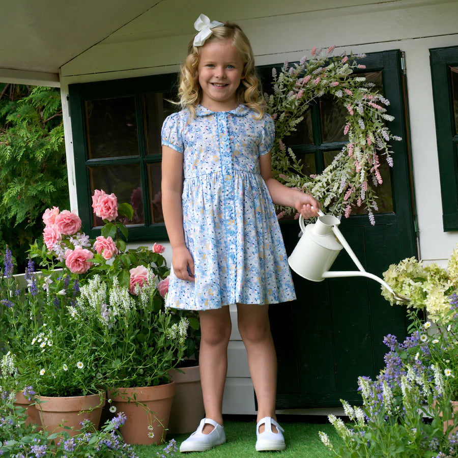 Daisy Button Front Dress, Blue