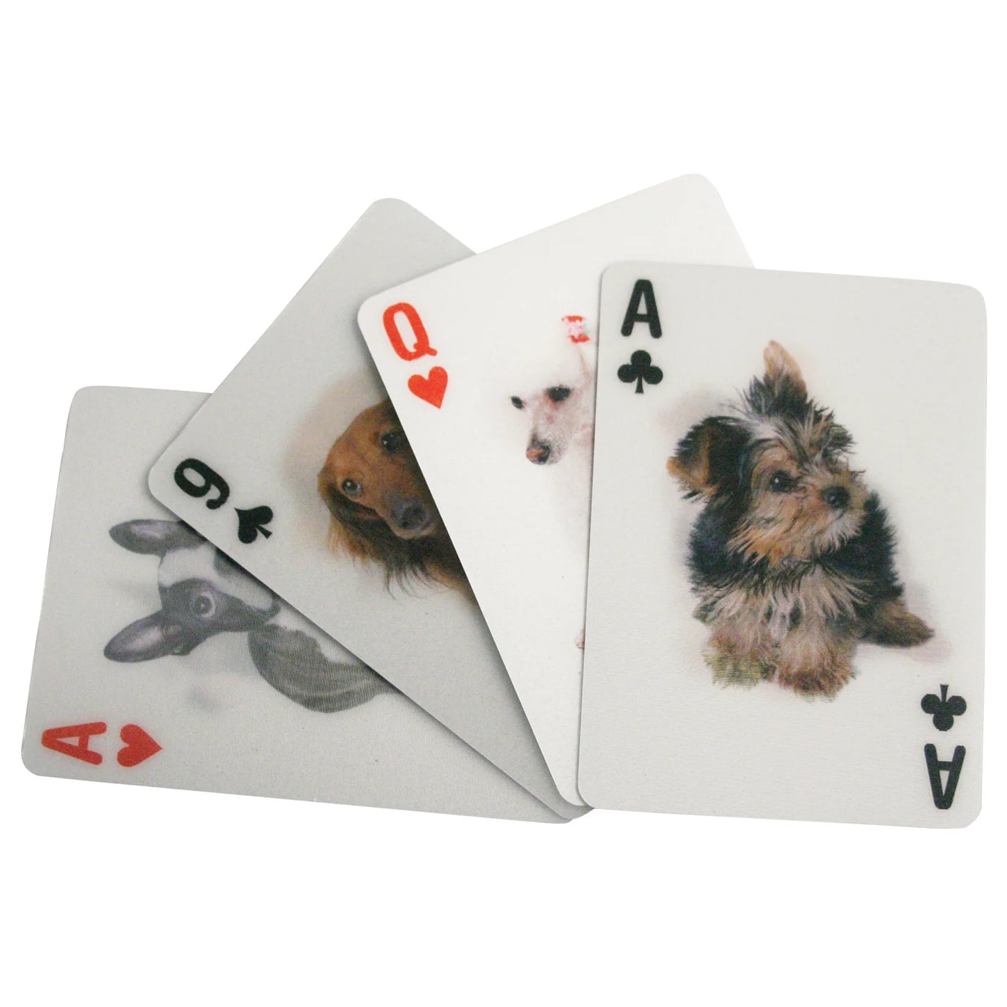 3D Playing Cards