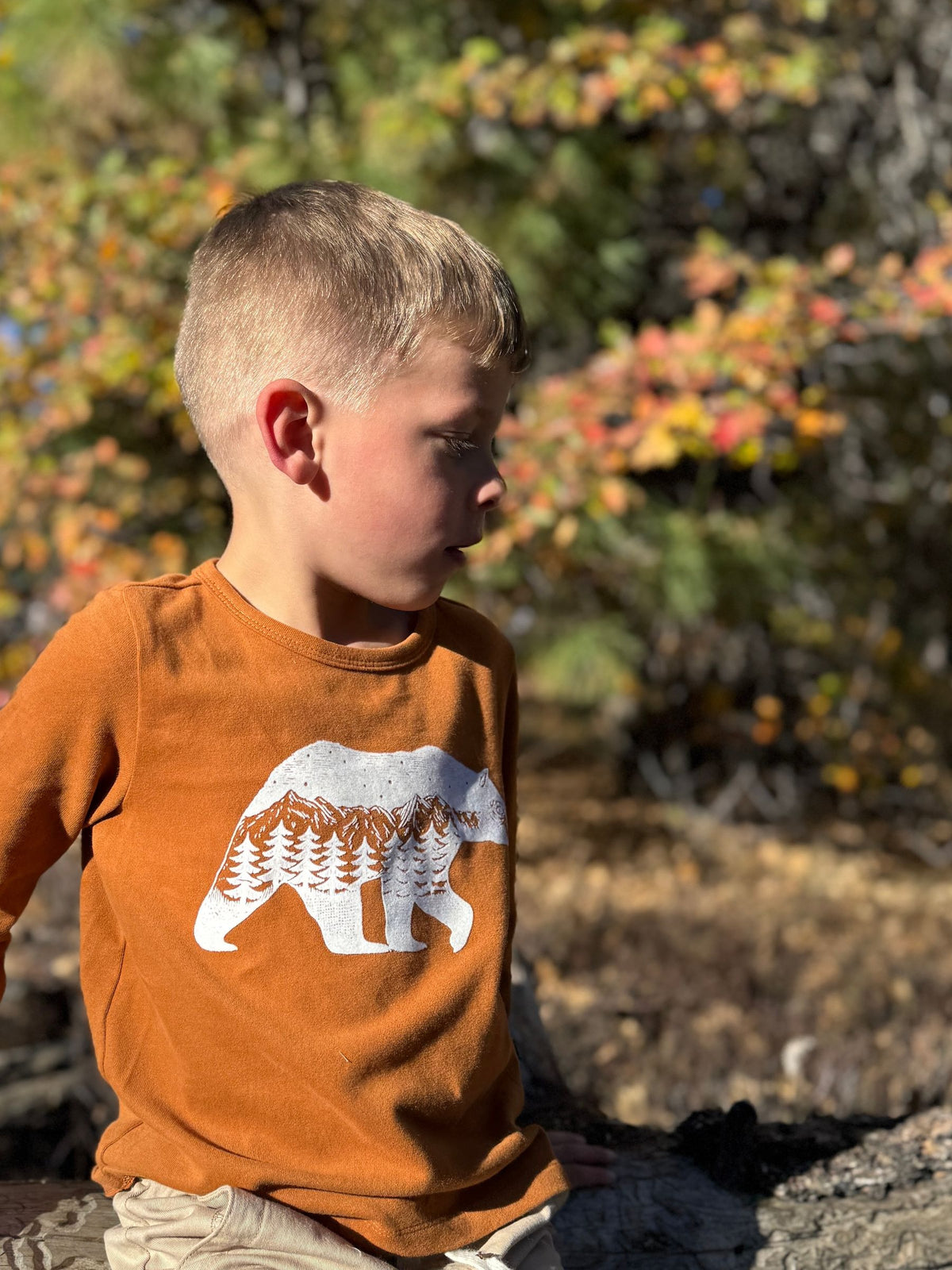 CHEROKEE Printed Tee, Bear Mountain