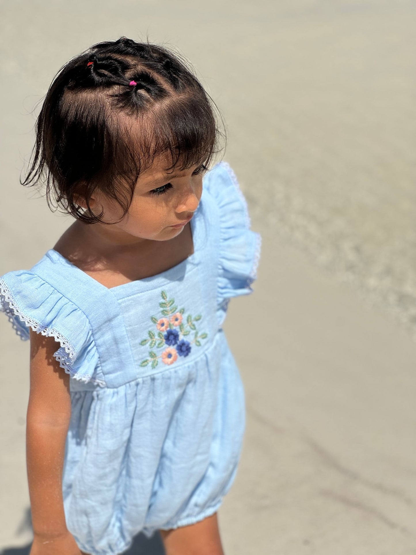 Embroidered Frilled Sleeve Bubble