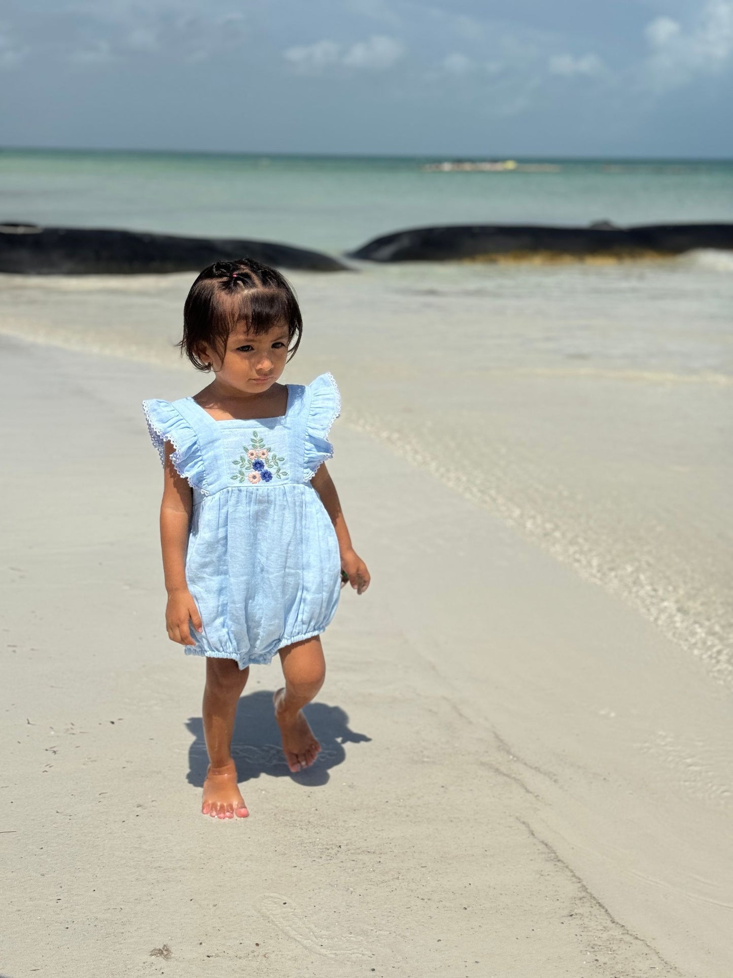 Embroidered Frilled Sleeve Bubble