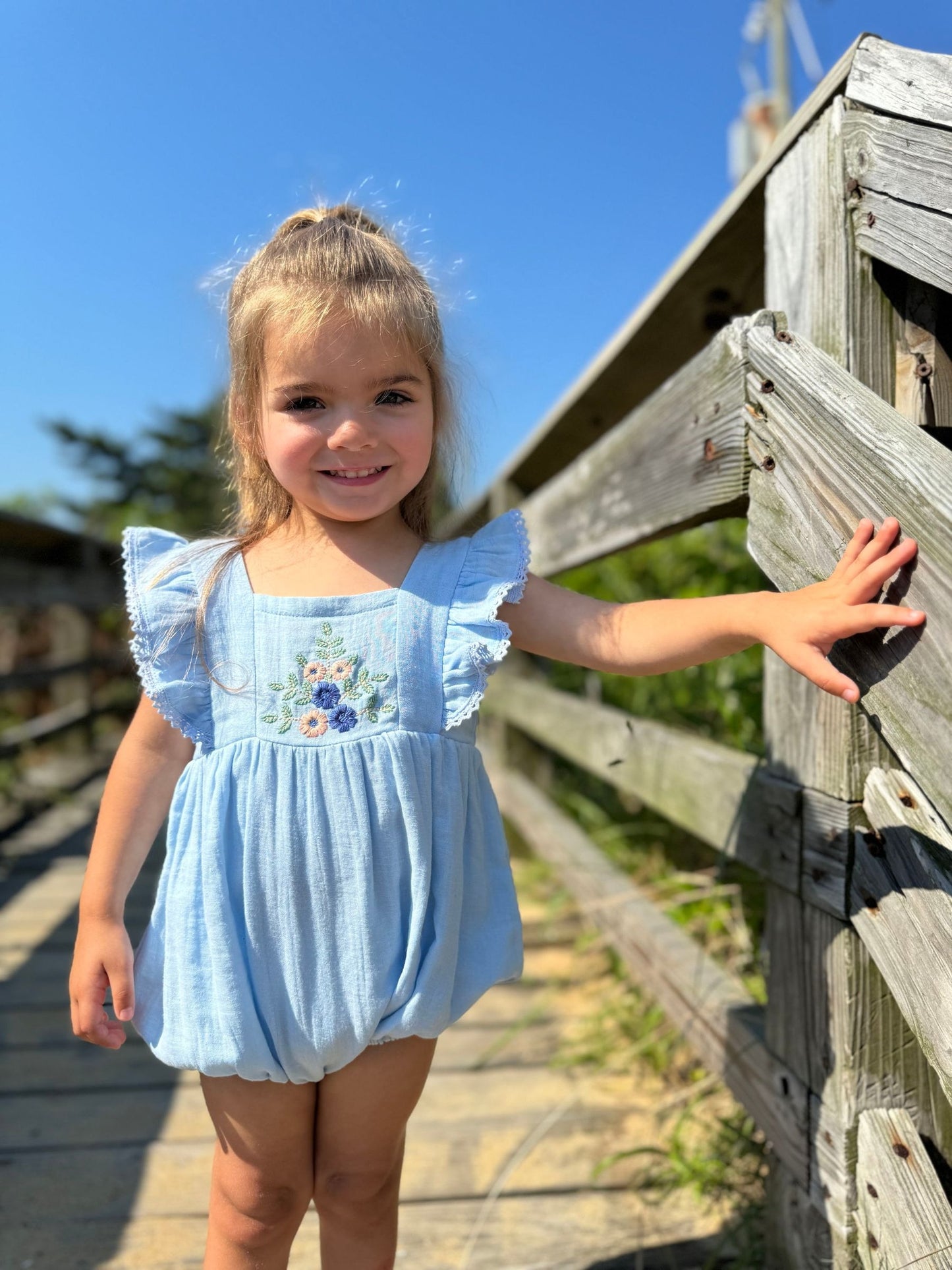 Embroidered Frilled Sleeve Bubble