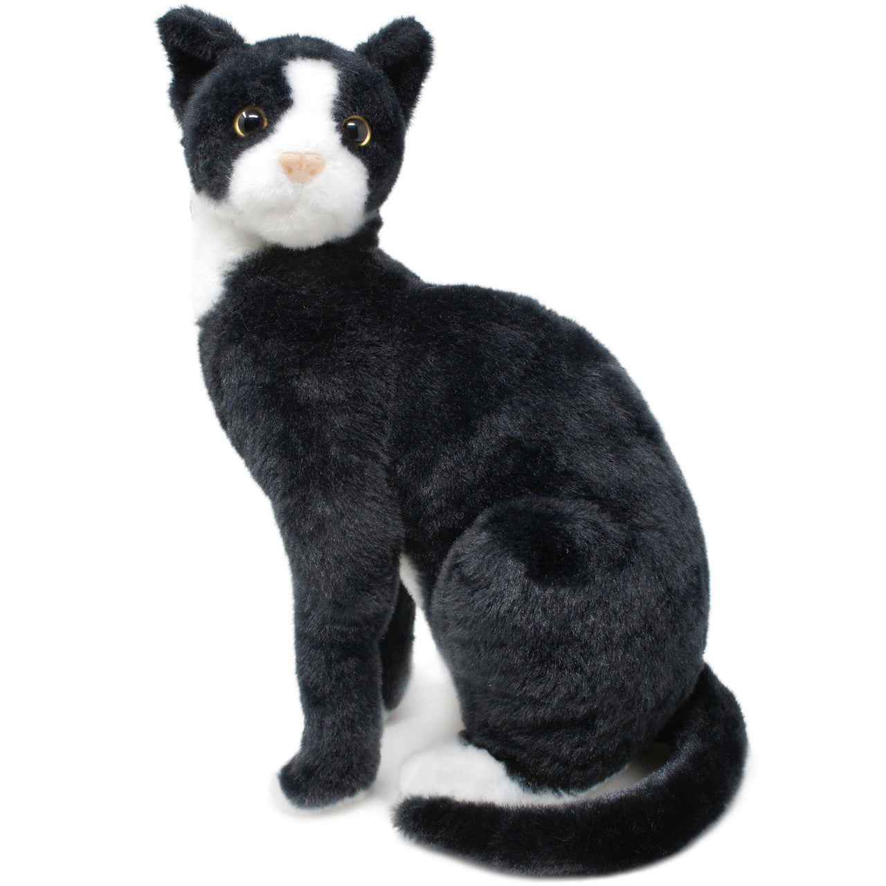 Tate the Tuxedo Cat