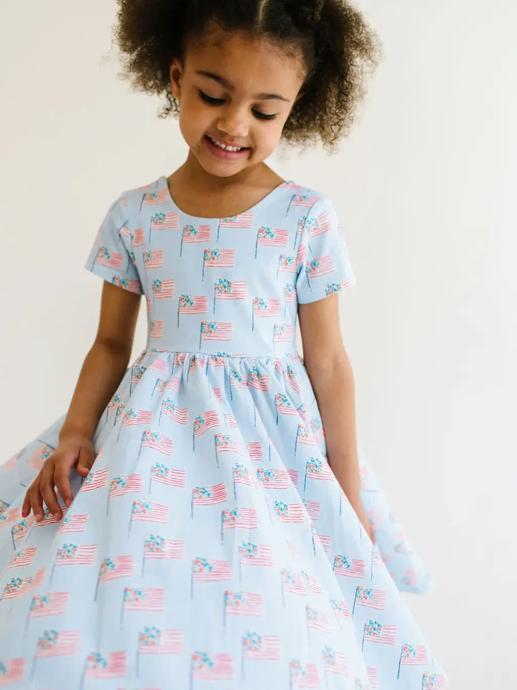 Classic Twirl Dress in Blue Flags